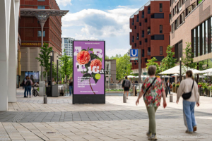 Grundrecht Art. 16a